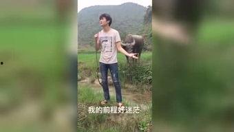 国产最新福利视频,视觉盛宴，情感共鸣，尽享视听盛宴