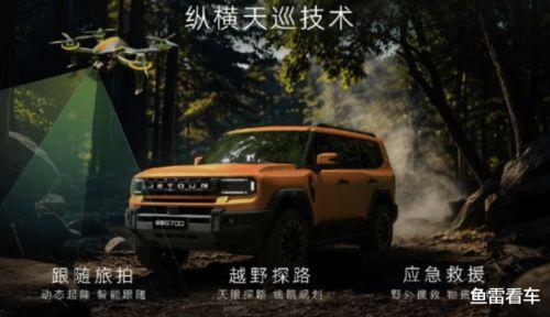 国产另类图片,探索独特视觉艺术之美